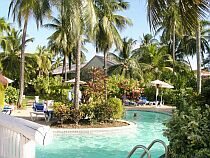 Baseny hotelowe tona w tropikalnej roślinności