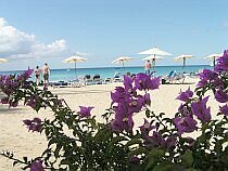 Skarbem Barbadosu są plaże i roślinność