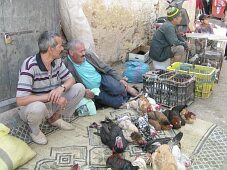 Sprzedawcy kur mogą je na miejscu zabić i oskubać