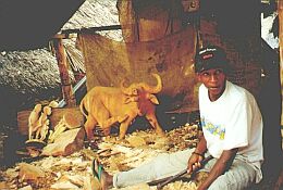 Mombasa_Kenia_Afryka