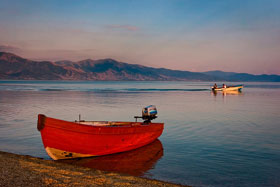 Fot.: Grzegorz Niemyjski