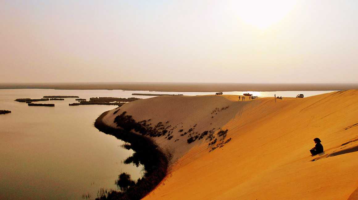 ahsa winter campaign card 4