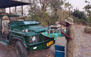 Poczęstunek na safari