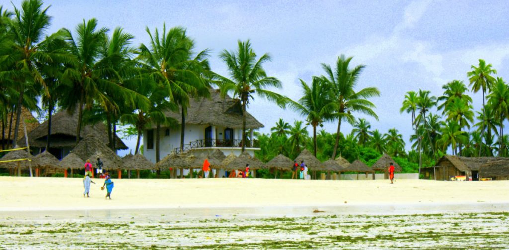 Zanzibar. Bungalowy wśród palm tuż przy plaży
