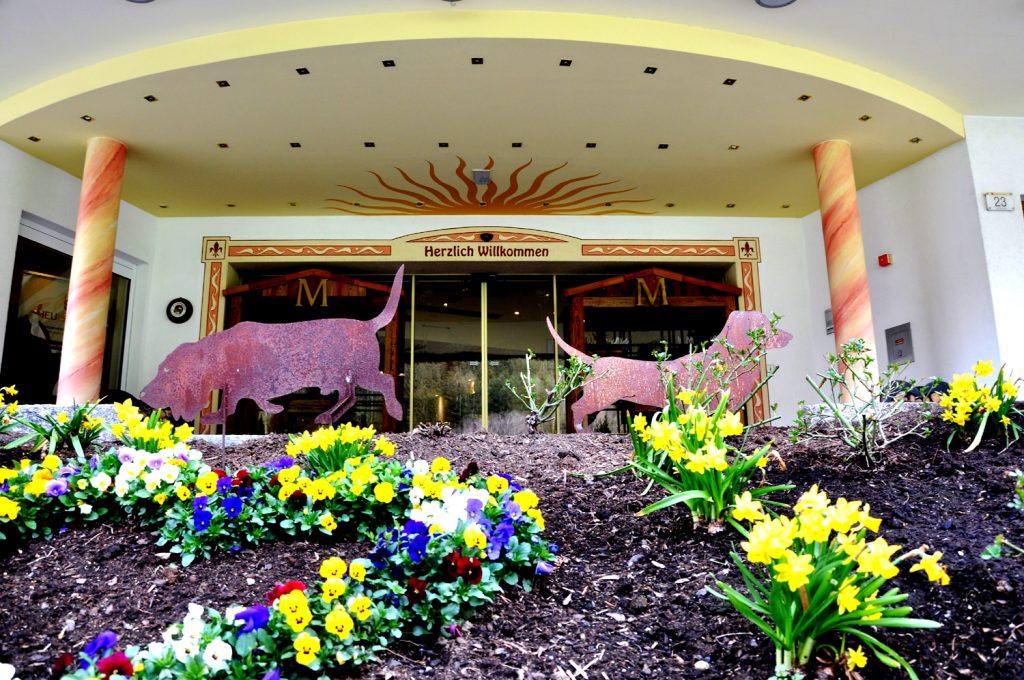 Wejście do hotelu przyjaznego psom