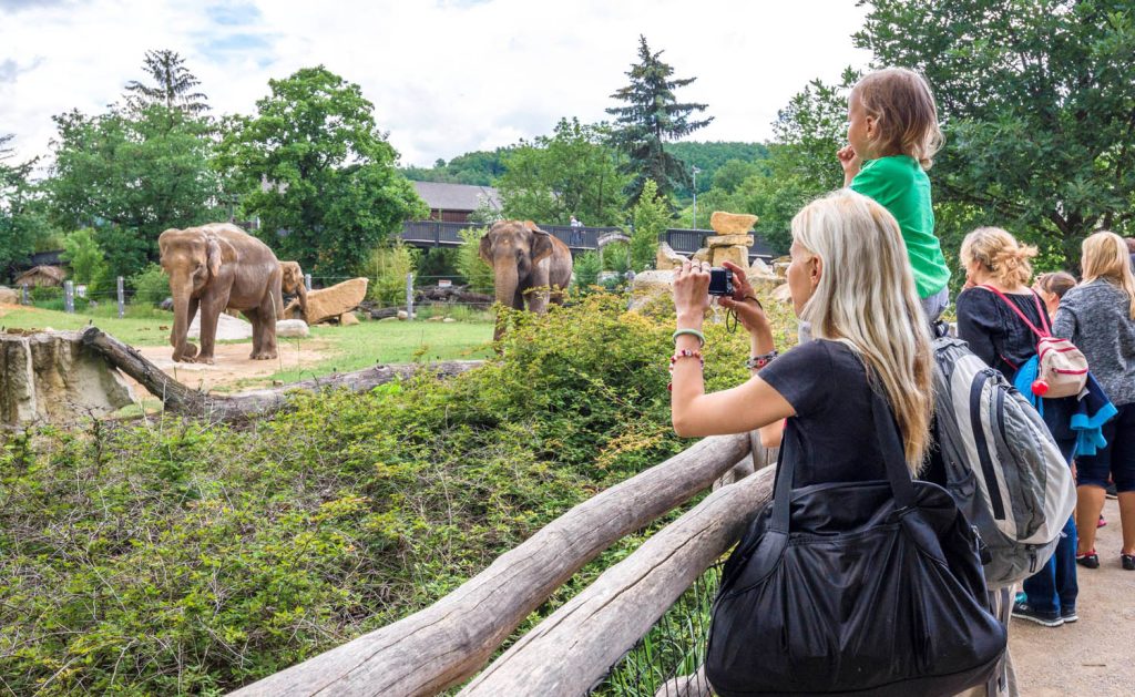 ZOO w Pradze. Zwiedzający przy wybiegu słoni.