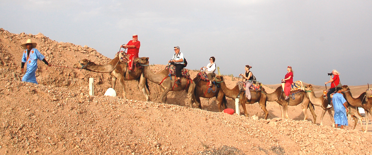 Grupa dziennikarzy na wycieczce na wielbłądach na pustyni Agafay w Maroku