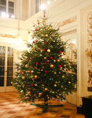 Choinka w Pałacu Łazienkowskim. Fot MŁK