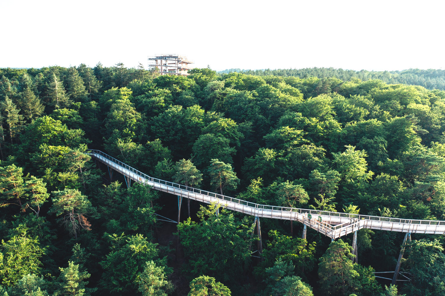 Ścieżka Baumwipfelpfad na Uznam_TMV_Gänsicke