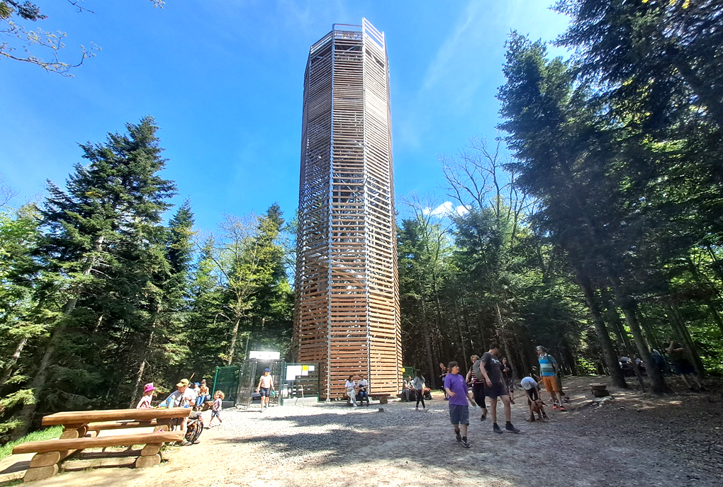 Wieża widokowa na Łysuli. Fot. Anna Ochremiak