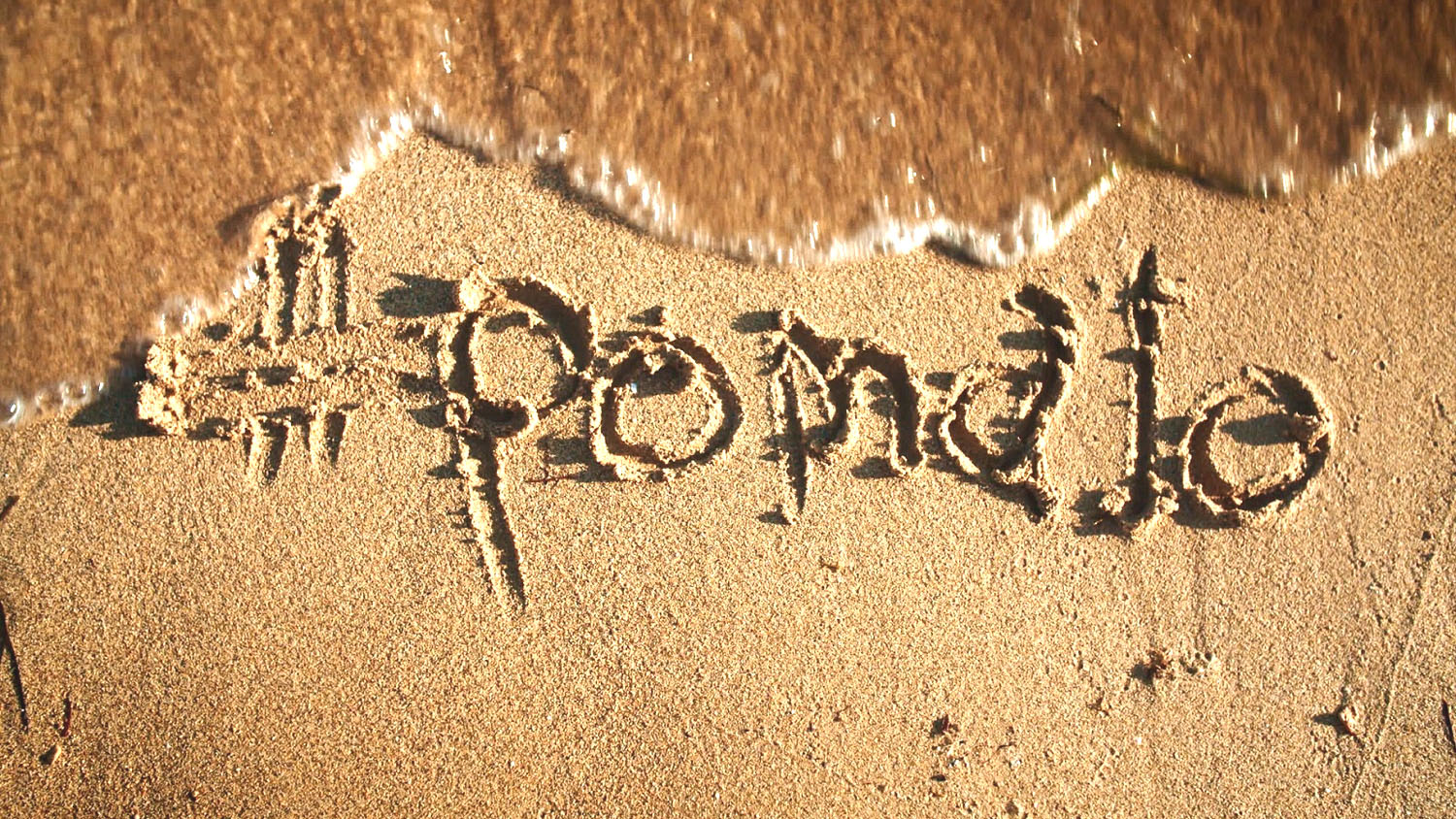 Promocyjny napis akcji. Fot. CNBT