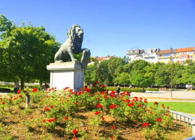 Sofia-lew-symbol-miasta-Sofia-fot.-Alicja-Micula