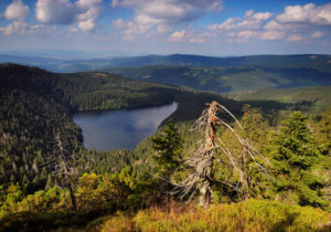  Szumawa.-fot.-Pavel-Ourednik.jpg